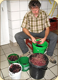 Fabrication artisanale de confitures bio à la ferme du Kalblin