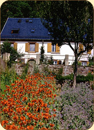 Ferme du Kalblin : producteur bio de : plantes médicinales bio, plantes âromatiques bio, simples, âromates bio, tisanes bio, sirops bio, gelées bio, confitures bio, bières bio, eaux de vie bio, petits fruits bio et baies sauvages.